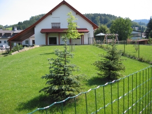 hundeauslauf.jpg